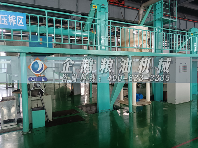 企鵝牌茶籽油雙螺桿榨油機，用心制造獲得客戶認可(圖3)