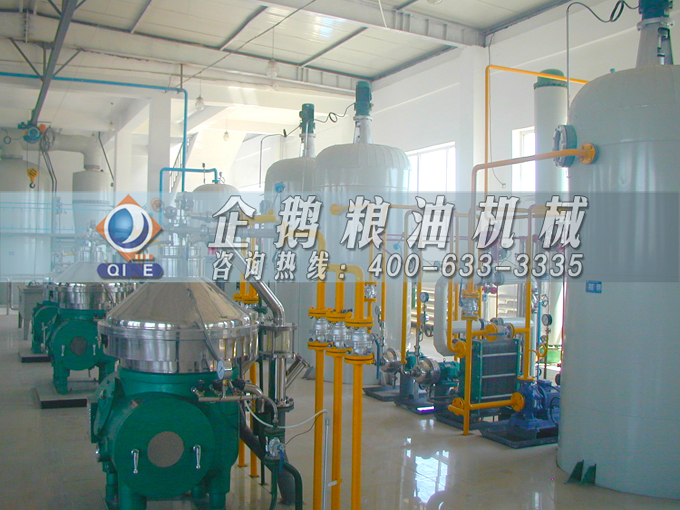 如何投資建設棕櫚油加工廠？企鵝糧油機械在線為您答疑解惑(圖2)