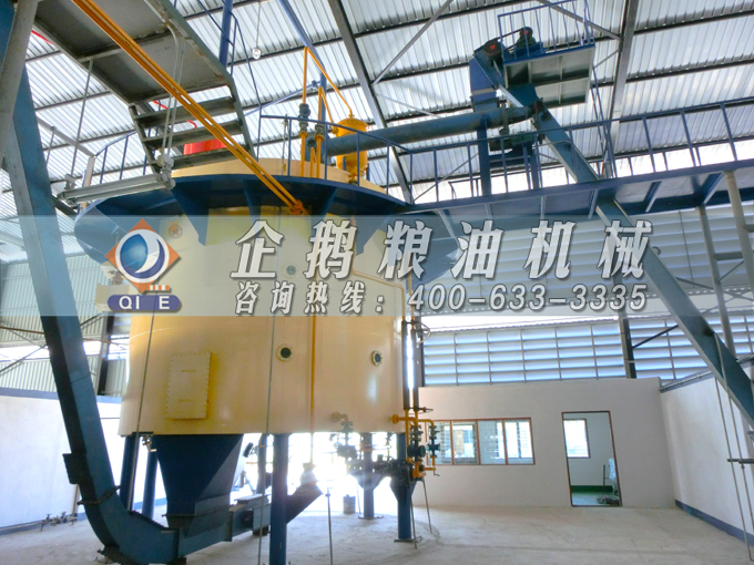 如何投資建設棕櫚油加工廠？企鵝糧油機械在線為您答疑解惑(圖5)