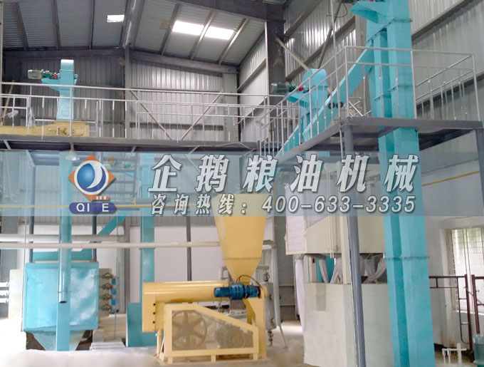 如何投資建設棕櫚油加工廠？企鵝糧油機械在線為您答疑解惑(圖4)