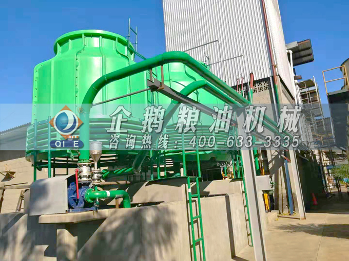 如何投資建設棕櫚油加工廠？企鵝糧油機械在線為您答疑解惑(圖3)