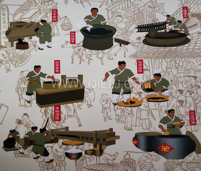 芝麻油提取加工，企鵝糧油機(jī)械生產(chǎn)色香味俱佳的油脂(圖2)
